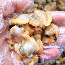남해안 바지락살 1kg 순살 깐 바지락 손질 조개살 국물요리 바지락탕