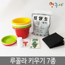 루꼴라키우기 7종, 단품