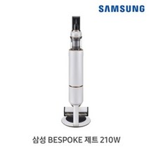 삼성전자 비스포크 제트청소기 VS20A957D2W 미스티화이트 택배 추천