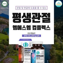 관절 연골 엠에스엠 미국 수입 멀티 비타민 미네랄 비타민 디 D 기능성