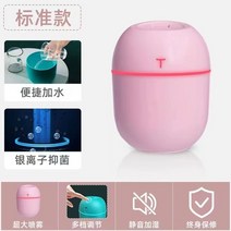캠핑용 에어컨 실내 작은방 차박 휴대용 원룸 에어컨 가습기 작은 집 조용한 기숙사 학생 침실 사무실 데스크탑 스프레이 신선한 공기 임산부 아기 자동차 미니 usb 휴대용 소녀, 스탠다드 파우더 침묵 가습기