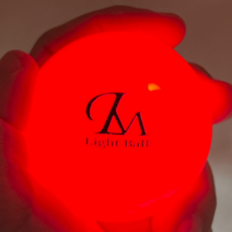 렌스메이트 LED 야광 형광 파크골프공 파크공 파크볼, 레드, 1개, 1개입