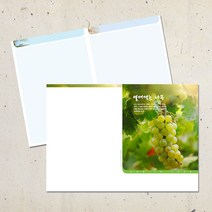 계절 디자인 주보용지 교회 순서지 예배 주보지 안내지 청년부 주일학교 교회행사 성경학교 맥추 추수감사 성탄절 사순절, EA-27