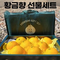 제주황금향 황금향 대과 황금귤 고당도 추석선물, 1박스, 2kg
