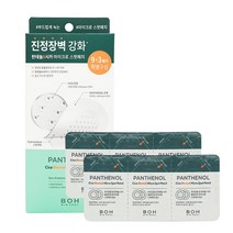 바이오힐보 판테놀 시카 블레미쉬 마이크로 스팟패치 12개입