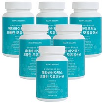 BNR17 다이어트 / 7세대 프리미엄 국내산 프롤린 7000억 모유 유산균 식약처 인증 분말 가루, 6개(12개월), 7000억 모유유산균