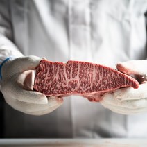 주문당일 도착 오늘와규 호주산 소고기 치마살 갈비살 부채살 살치살 와규 스테이크, 1. 부채살_냉장_당일 도착_서울 only