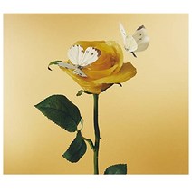 아이묭 정규 3집 맛있는파스타가있다길래 CD 초반한정판 일본 앨범 음반