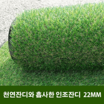 천연잔디와 흡사한 인조잔디 인조잔디매트 현관 바닥 인테리어 인공잔디 (2mx5m), 27mm(2mx5m)