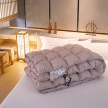 한겨울 구스이불솜 모달 차렵이불 싱글 더블 이불솜, 200x230 한겨울용 2500g