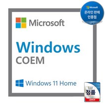 윈도우 11 홈 64bit DSP 한글 설치 제품키, windows 11 home dsp