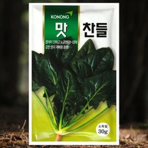 시금치씨앗 봄가을 파종용 노균병 병해강한 달콤한 맛찬들시금치 30g