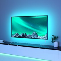 텐플 IOT 스마트 스트립 LED 조명 음악 리듬 적용 캠핑 무드 연출, 나이트버드 스트립 줄조명 2.7M