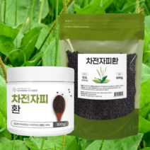 차전자피 환 300g 600g 질경이 씨앗 껍질 인도산 95% 식이섬유 풍부한 환 형태 포만감 가득, 300gX1개