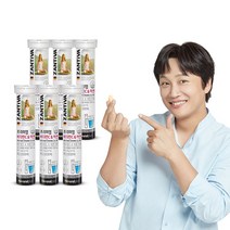내츄럴플러스 독일 잔티바 발포 비타민C 아연 20정(20일분), 6개, 20정