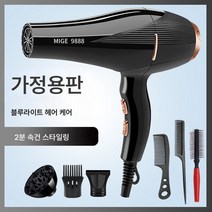 전기 드라이기 가정용 대풍 음이온 헤어 케어 무음 미용실 전용 고출력 속건 남성 드라이기, 블랙가정용스타일블루라이트음이온헤어케어-여섯