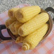 강원도 홍천 삶은 찰옥수수 미백 햇 찐옥수수 쫀득 탱글 옥수수 10개 20개 30개 50개 국내산 냉동, 삶은 미백 찰옥수수 20개