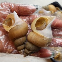 강동수산 선주직송 자연산 동해안 급냉 백고동 백골뱅이 1kg, 선주가잡은(급냉)백고동1kg