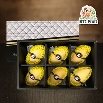 신세계 필리핀 생망고 프리미엄 선물세트 (L/6과)