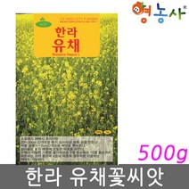 한라유채 씨앗 500g/ 대용량 유채씨앗 유채 꽃씨앗