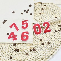 VEDANA 의류패치 숫자핑크레드 찍찍이패치