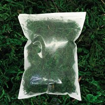 청이끼 소포장 35~40g, 1개