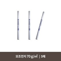 모조전지 70g (5매)
