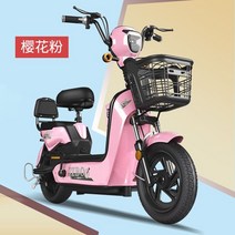 전기 자전거 Yadi Emma Xinri Luyuan 동일한 남성과 여성 성인 배터리, 48v, 12아, 1-CNPC Chaowei  Tianneng 20a