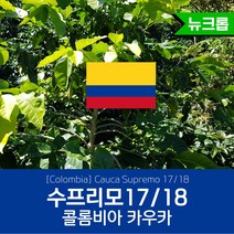 콜롬비아 수프리모 17/18 up 1kg 직수입 생두 Supremo 세웅지씨