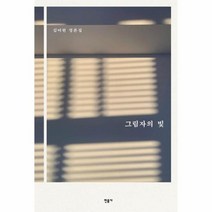 그림자의 빛 김미현평론집, 상품명