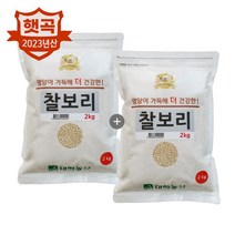 대한농산 2023년산 찰보리 4kg (2kg x 2봉) 햇보리 보리쌀, 2kg, 2개
