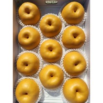 [과일맛집] 아삭달콤 순천 낙안배 보성배 신고배 가정용 선물용 7.5kg 15kg, 배 15kg (21-25과) 1박스