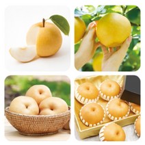 [뒷골영농조합법인] 아름답고 신선한 하루 한입 천안 성환배 7.5kg -67032599ea, 1개