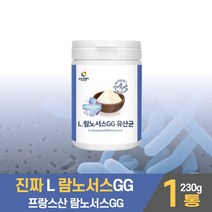 담다 프랑스 L 람노서스 GG 분말 가루 3세대 유산균 프로바이어틱스 프리바이오스틱 유청단백질 마시는 파우더 쉐이크 먹는방법 남성 여성, 1개, 230g