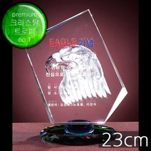 (트로피팩토리) 골프트로피 이글패 싱글패 홀인원패 골프상패 이글트로피 싱글트로피 홀인원트로피 홀인원기념패 TF6-13001