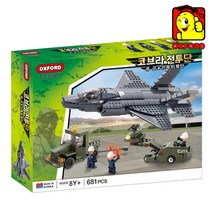 옥스포드 CJ36511 코브라전투단 공군, 선택완료