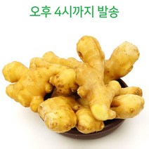 빛고을장터 국내산 생강 수입세척생강 토종생강 1kg 소량, 1Box, 02_수입세척생강 1kg