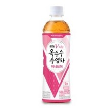 광동 옥수수수염차 이너브이 500ml, 48개