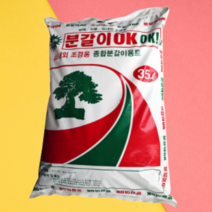 35L 아가베 황칠나무 콤팩타 크로톤 해피트리 분갈이, 0.분갈이OK 35L