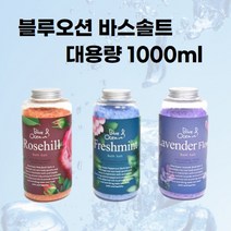 아로마 향기와 함께하는 힐링샤워 블루오션 바스솔트 1000g 입욕제 마사지 욕조샤워 온수샤워, 3번 후레쉬민트1개