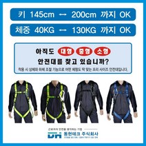 동현테크 [세계 최초 프리사이즈 안전벨트] - 죔줄 1개 벨트X, Free-S-P (파랑색) 벨트X