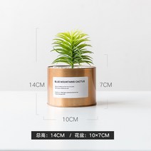 인테리어 인조 식물 나무 화분 노르딕 모조식물 그린피니쉬 다육분재 소품 아이디어 실내 테이블 선인장 분경 장식, 01 금동아리+에어 파인애플