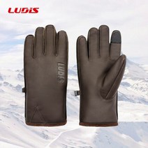 루디스 [루디스] 라이프스타일용 아웃도어 방수 방한 가죽장갑 LGM4841E-D.BR, 선택완료