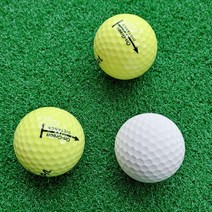 도담스토리 골프공 방향제 차량용 개업선물 답례품 open행사 대회 석고방향제