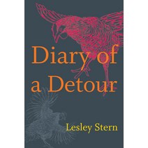 Diary of a Detour Paperback, Duke University Press