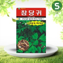 솔림텃밭몰 참당귀씨앗 200립 참당귀 토당귀 국내채종 씨앗