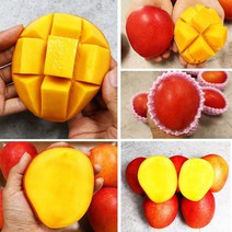태국망고 애플망고 프리미엄 망고 과일 선물세트, 애플망고 9과 선물