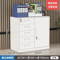 캐비넷 수납장 서랍장 사무실 다용도 철제 양문형, 1.1mm, 화이트 5서랍