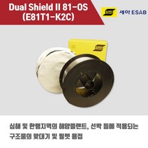 [세아에삽] DS II 81-K2 (E81T1-K2C) 플럭스코어드아크 용접봉 1.2mm (5kg)