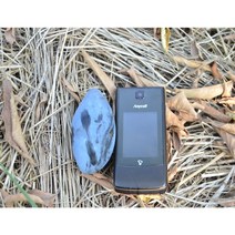 자두나무 푸룬 자두묘목 신품종 트리팜, 그린게이지